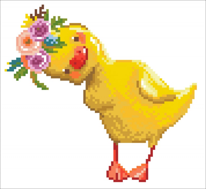 DD3.031 - Daisy