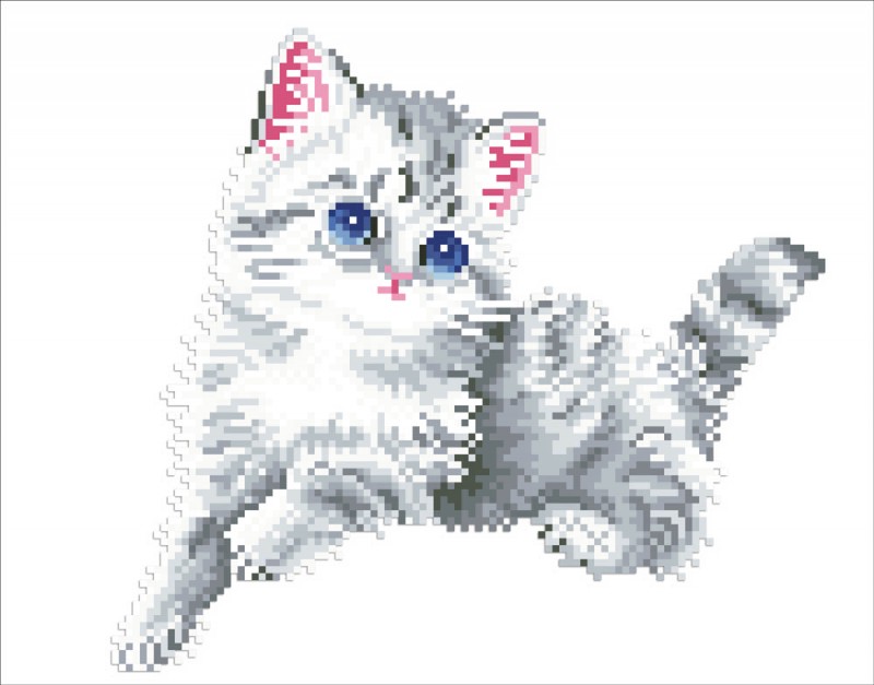 DD5.006 - Kitten in the Snow