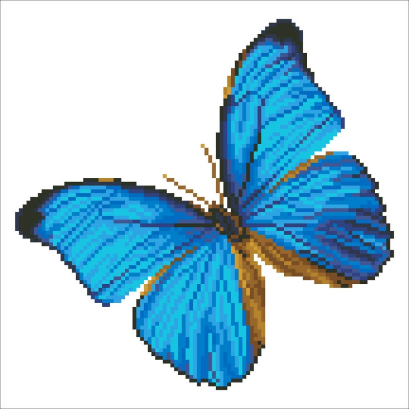 DD5.014 - Flutter by Blue