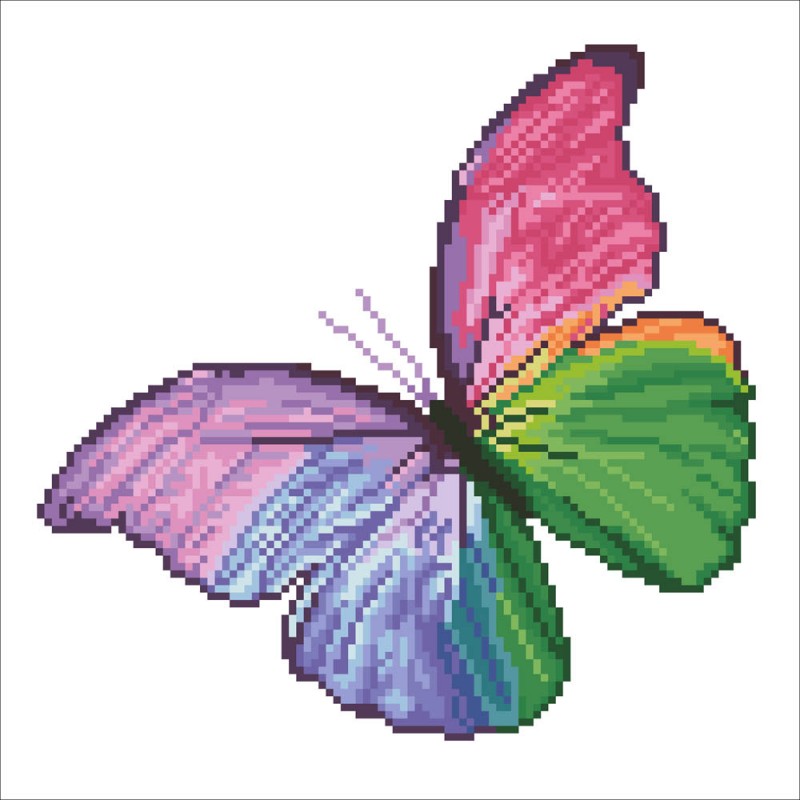 DD5.015 - Flutter by Pink