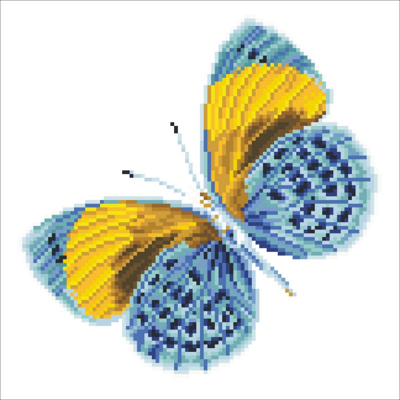 DD5.016 - Flutter by Gold