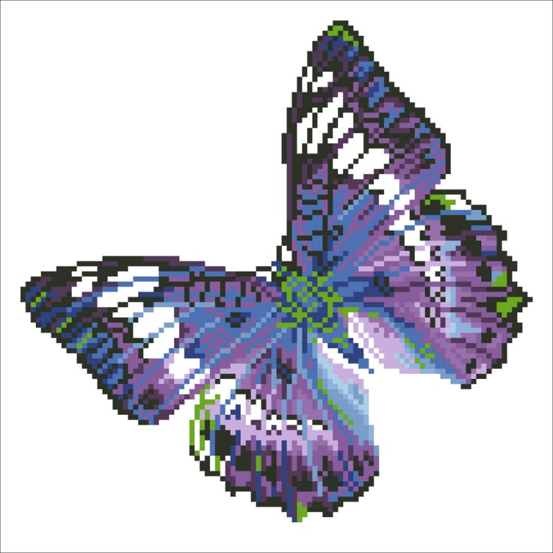 DD5.017 - Flutter by Mauve