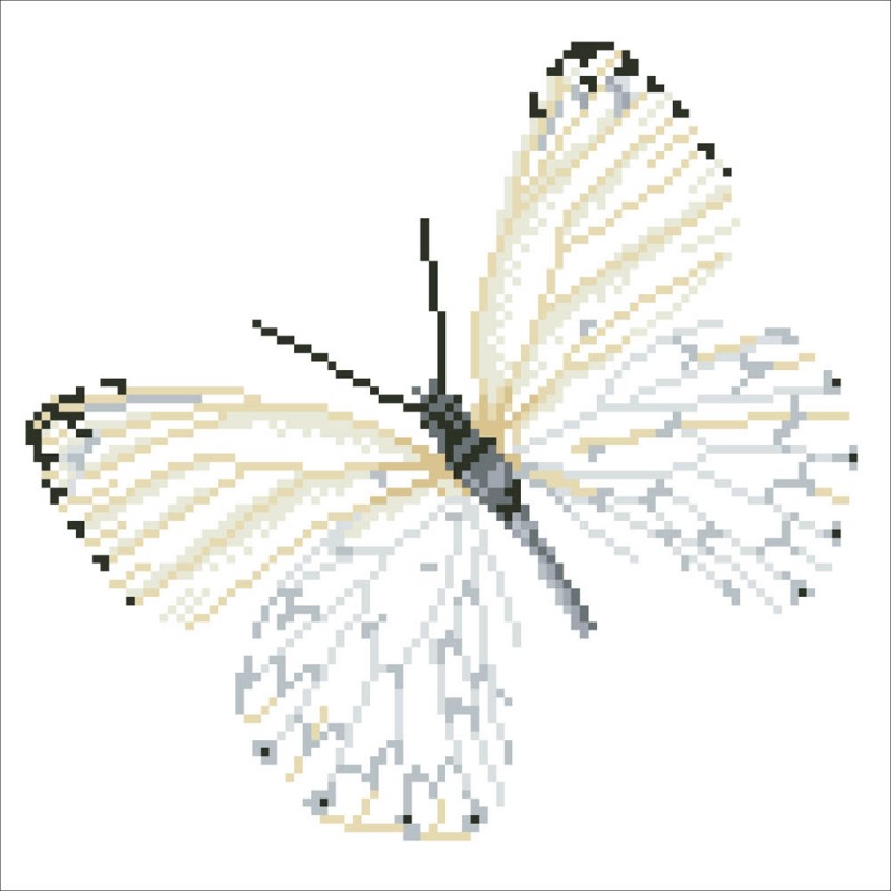 DD5.021 - Flutterby White