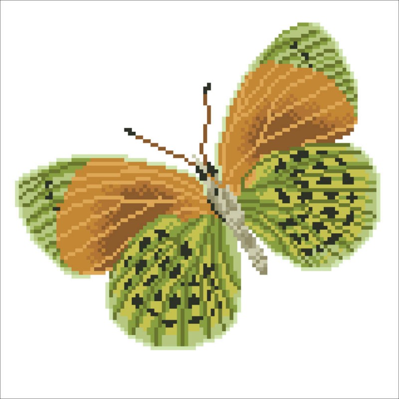 DD5.022 - Flutterby Earth