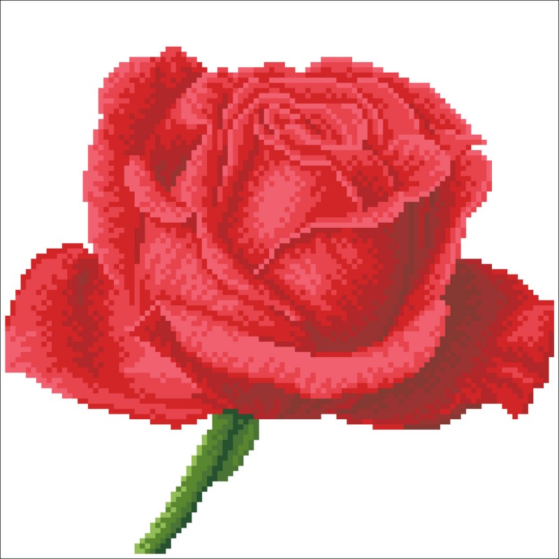 DD5.038 - Rose Bud