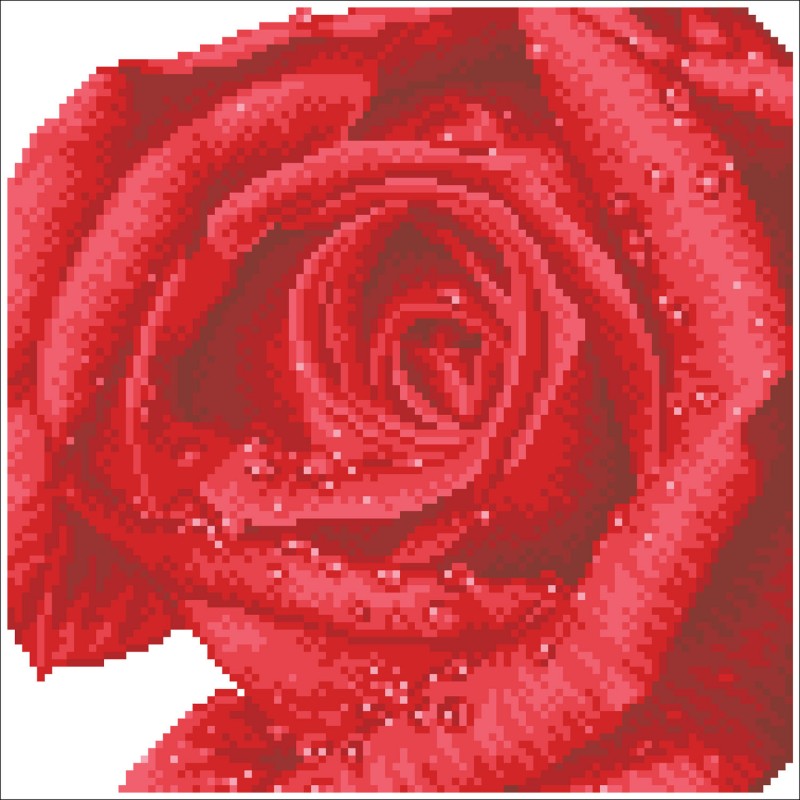 DD5.039 - Rose Dew