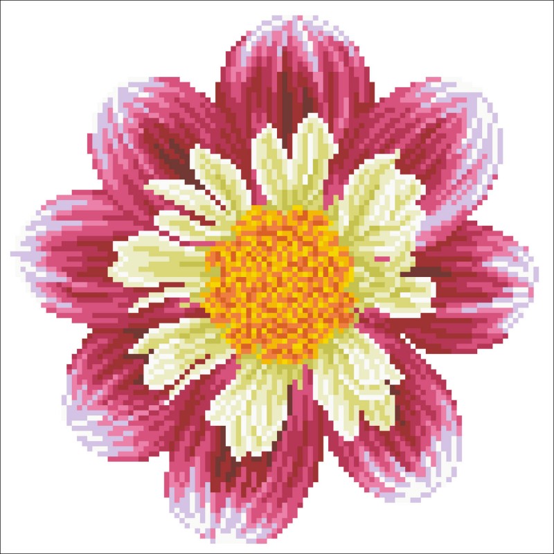 DD5.040 - Daisy-A-Day
