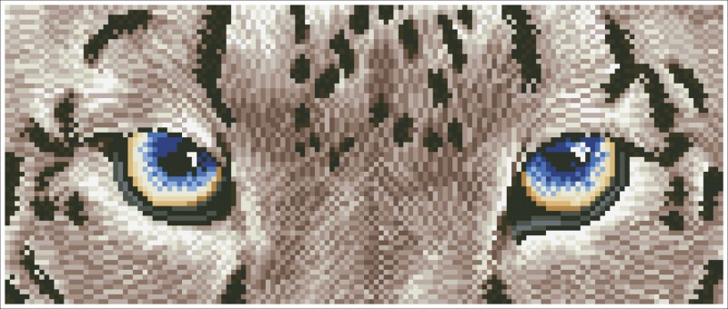 DD5.043 - Snow Leopard Spy