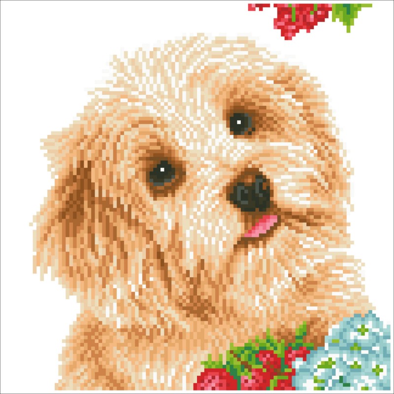 DD5.049 - I Love my Dog
