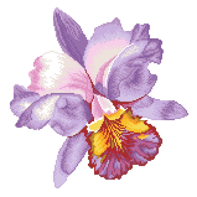 DD5.050 - Sparkle Garden Mauve