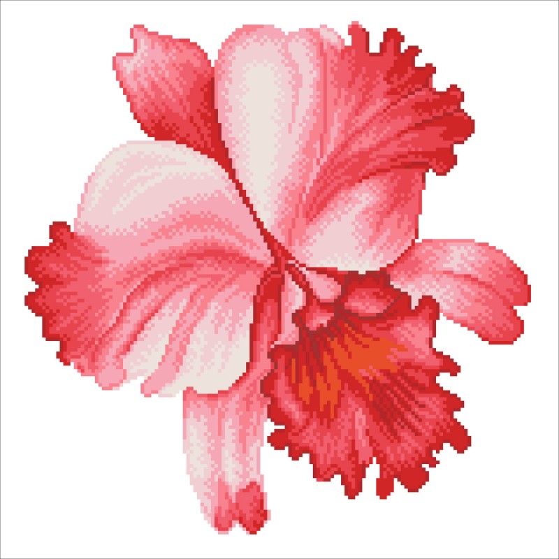 DD5.051 - Sparkle Garden Crimson