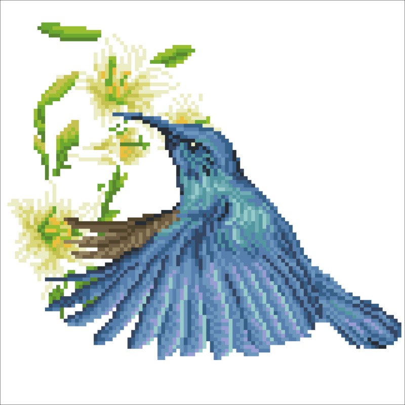 DD5.053 - Hummingbird Travels