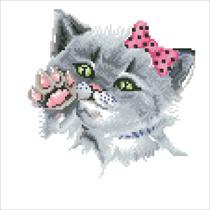 DD5.059 - Eye Spy Kitty