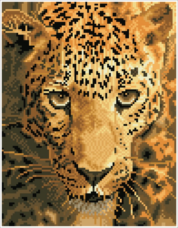 DD6.005 - Jaguar Prowl