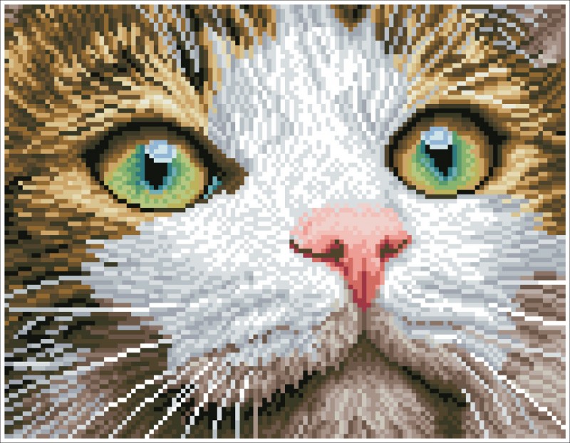 DD6.029 - Green Eyed Beauty