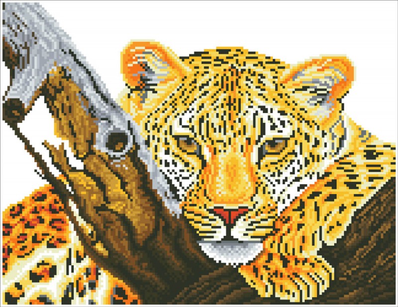 DD7.002 - Leopard Look