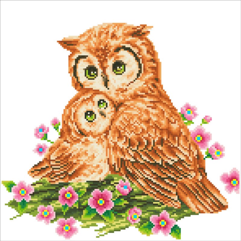 DD7.004 - Mother & Baby Owl