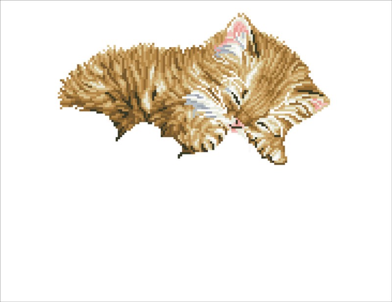 DD7.011 - Precious Kitten