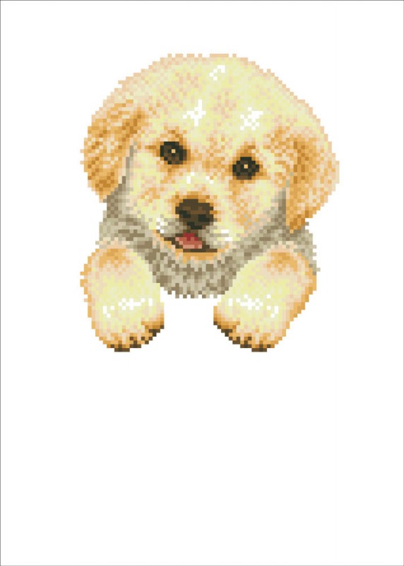 DD7.013 - Pup in Pot
