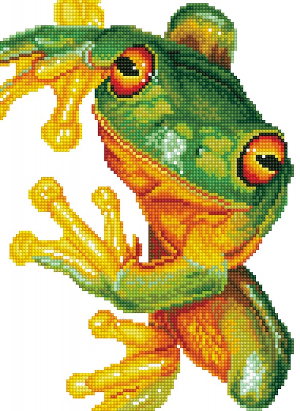 DD7.031 - Green Tree Frog