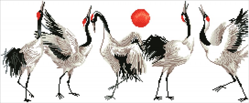 DD8.011 - Brolga Dance