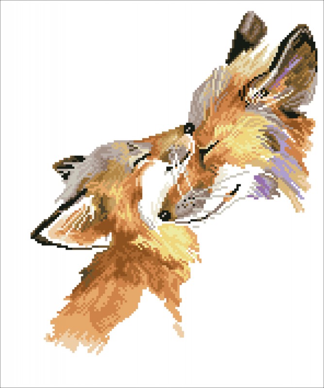 DD8.013 - Fox Bliss
