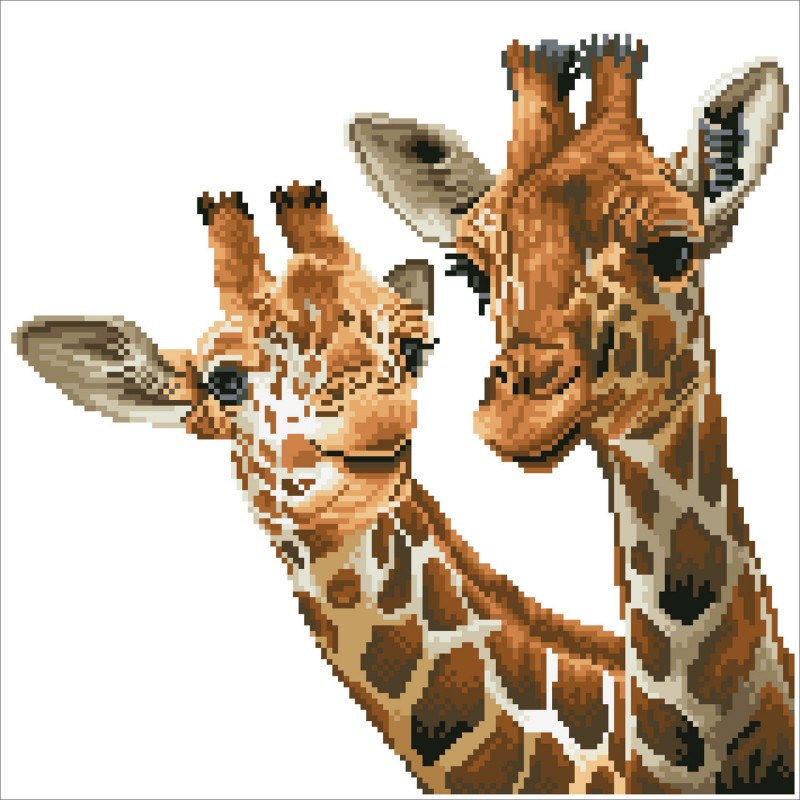 DD8.017 - Tall & Tender