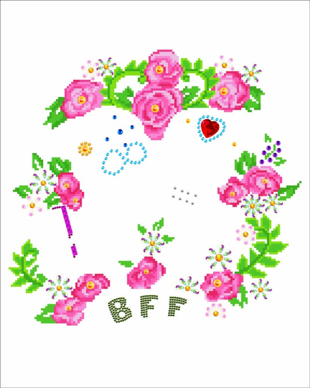 DD9.011 - BFF