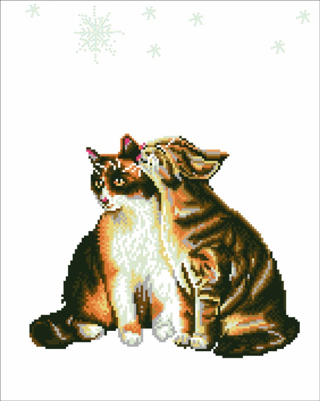 DD9.012 - Stars & Whiskers