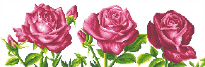 DD9.014 - Les Roses du Jardin