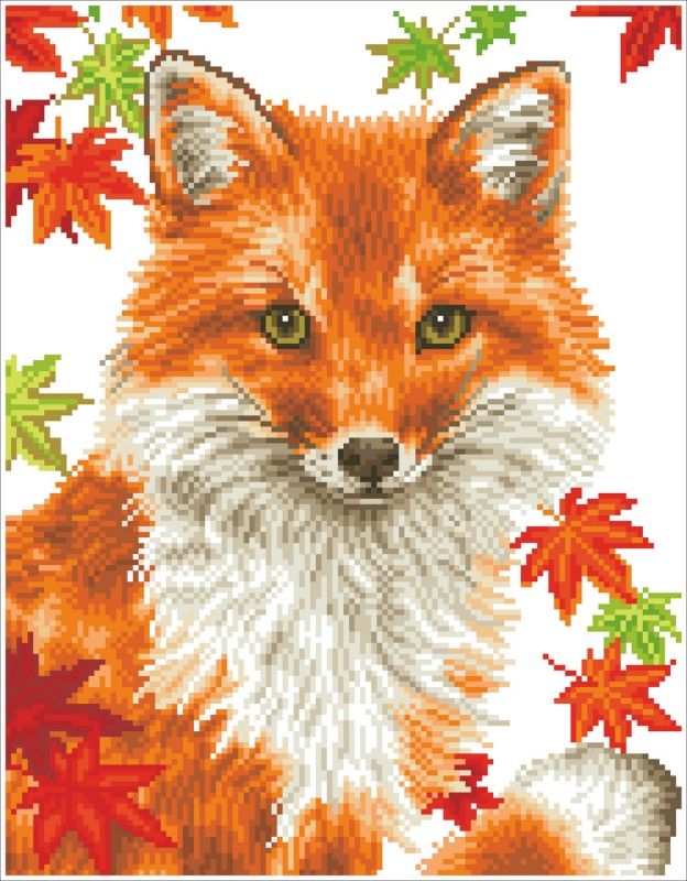 DD9.043 - Foxy