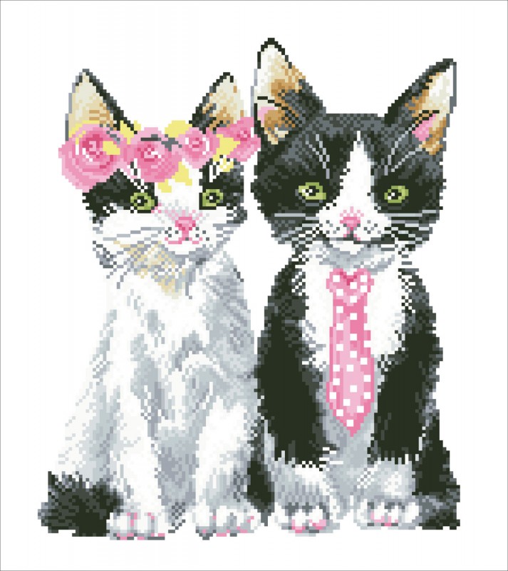 DD9.053 - Mr & Mrs Pink