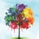 Rainbow Tree