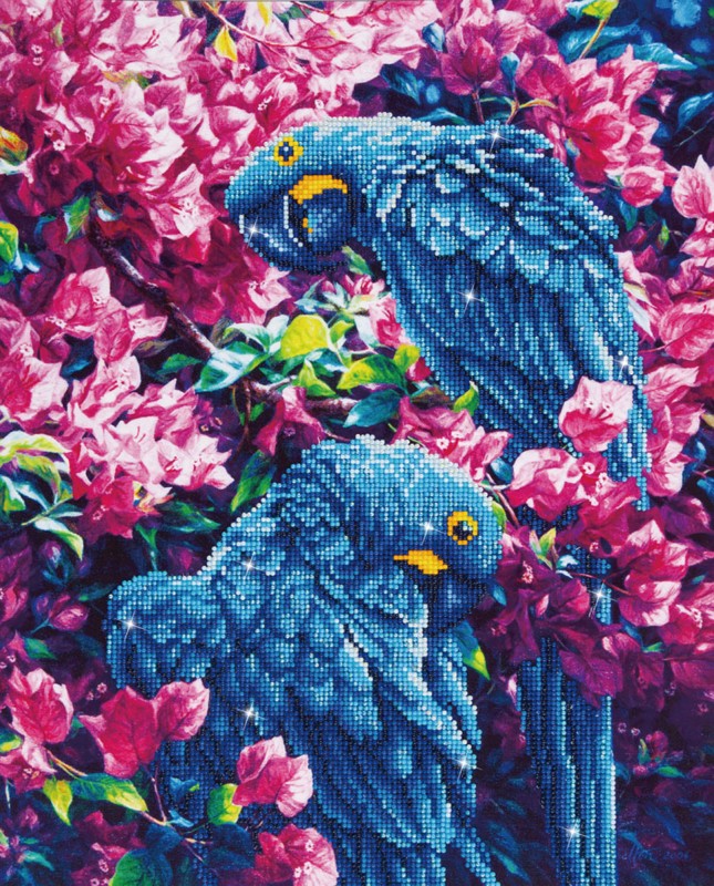 DD10.002 - Blue Parrots