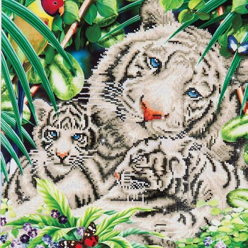 DD10.006 - White Tiger & Cubs