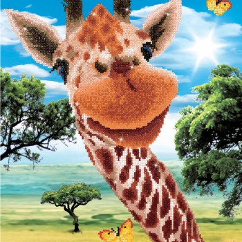 DD10.011 - Hey There