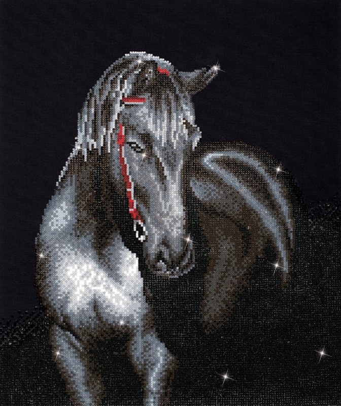 DD10.012 - Midnight Stallion