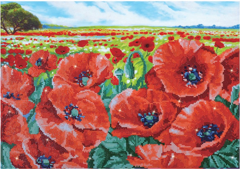 DD10.013 - Red Poppy Field