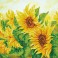 DD10.023 - Hazy Daze Sunflowers