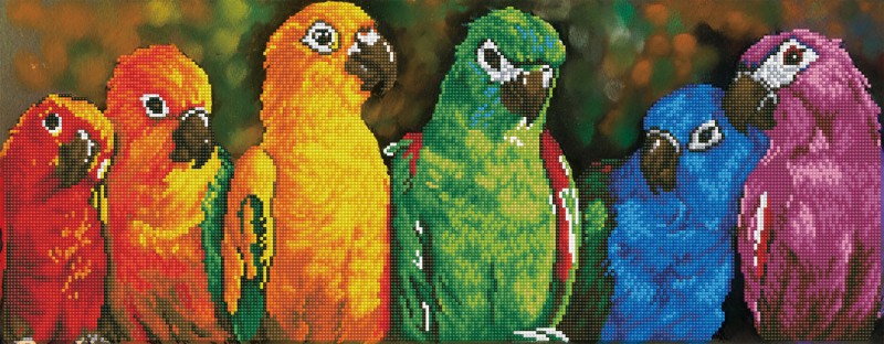 DD10.025 - Rainbow Parrots