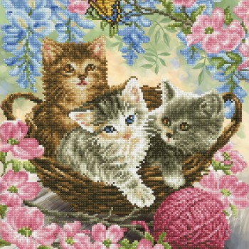 DD10.035 - Kitty Knits