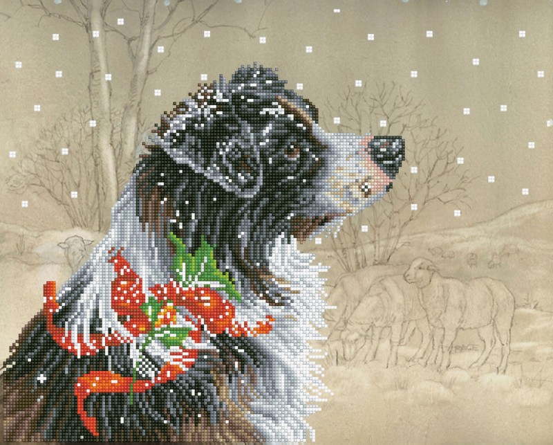 DD10.036 - Christmas Collie