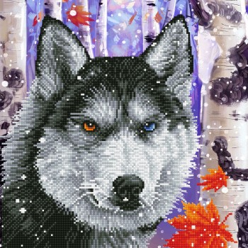 DD10.040 - Forest Wolf