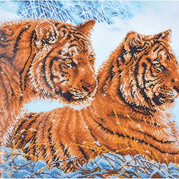 DD12.026 - Tigers in the Snow