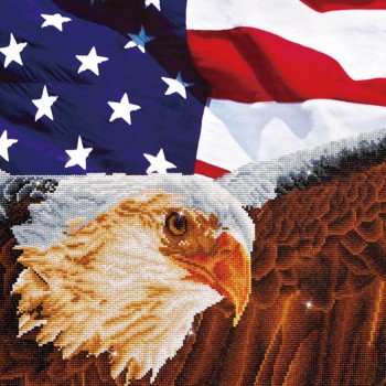 DD13.003 - Bald Eagle & Flag