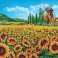 DD13.016 - Sunflower Windmill