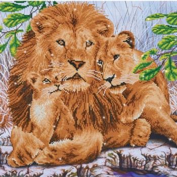 DD13.017 - Lion Family