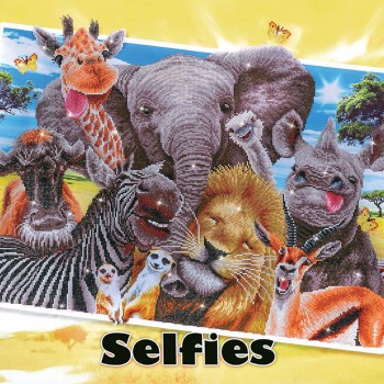 DD15.013 - Say Stampede