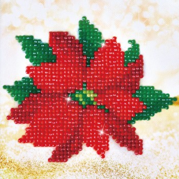 DD2.025 - Poinsettia Picture