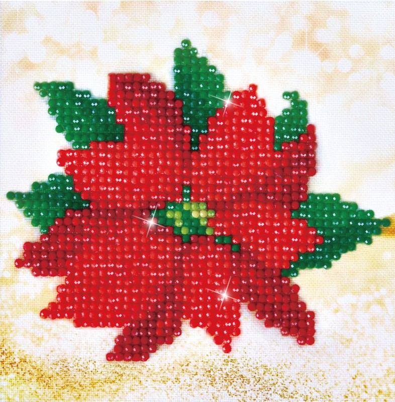 DD2.025 - Poinsettia Picture